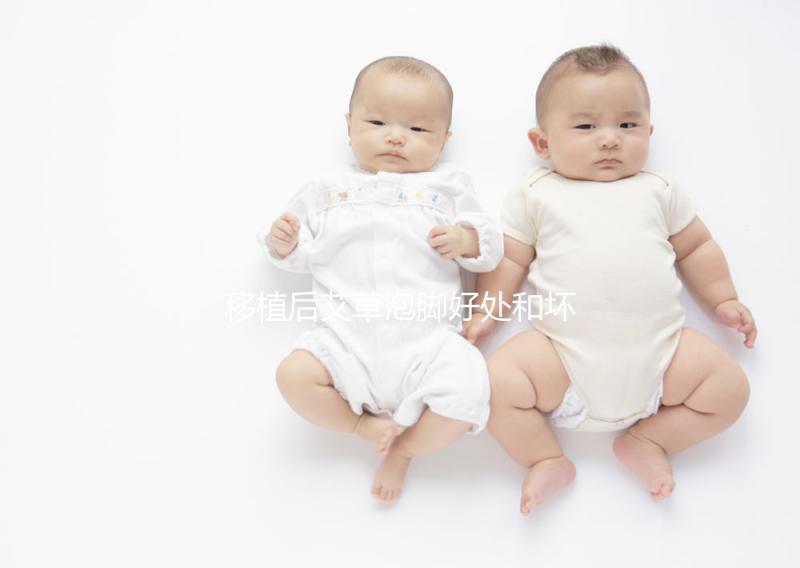 移植后艾草泡腳好處和壞處大PK，想提升試管成功率看過來