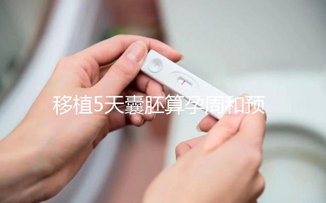 移植5天囊胚算孕周和預(yù)產(chǎn)期有訣竅，專家：用這2種方法
