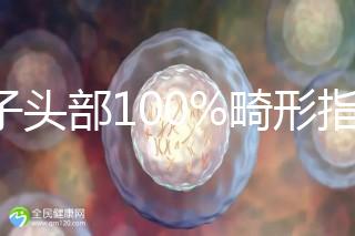 精子頭部100%畸形指數1.69，試管這條路還能通