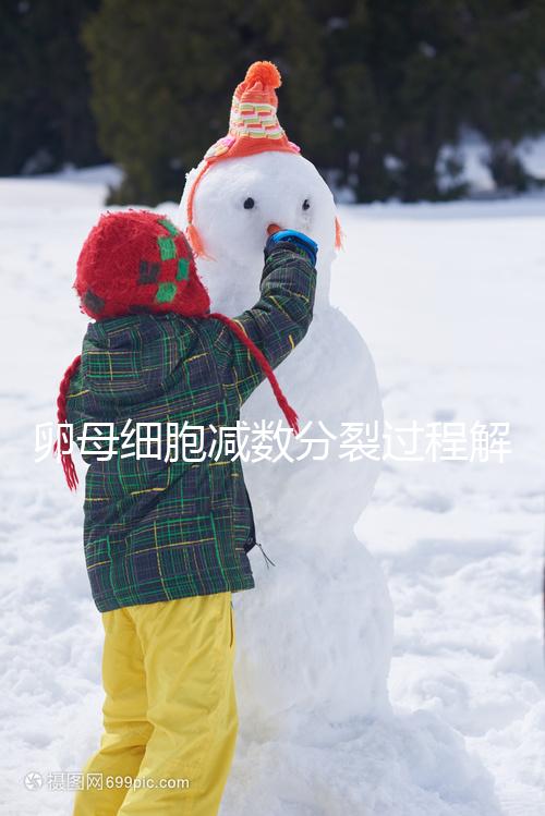 卵母細胞減數分裂過程解讀，從出生到成熟必經這3個階段