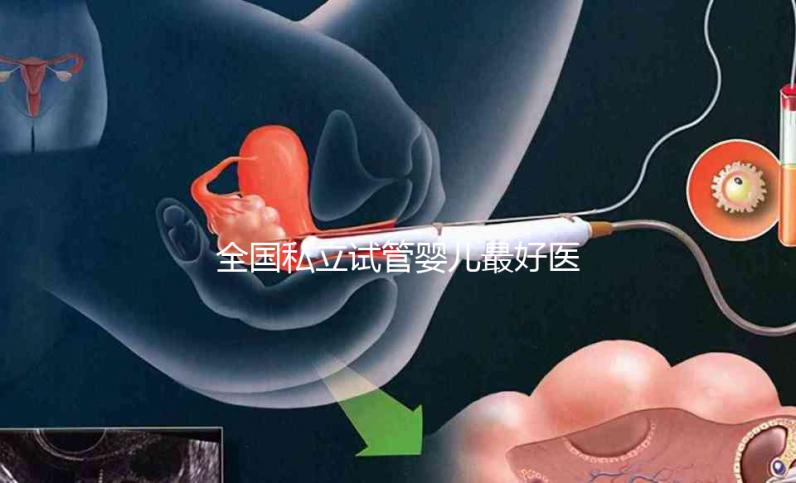 全國私立試管嬰兒最好醫院哪里最好，附醫院推薦
