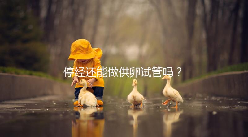 停經還能做供卵試管嗎？達到這4個條件成功率翻一番