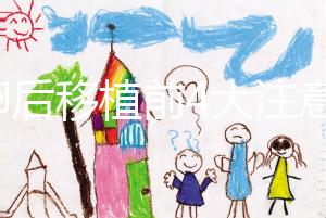 取卵后移植前4大注意事項(xiàng)要謹(jǐn)記！提升試管成功率就靠它