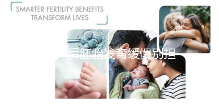 取卵后胚胎發(fā)育緩慢別擔心！這么做試管成功率翻倍