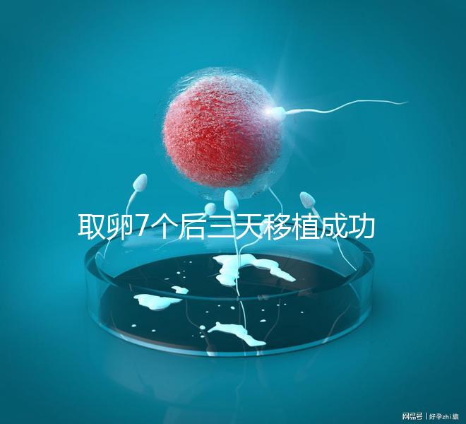 取卵7個(gè)后三天移植成功率真不低，關(guān)鍵要滿足這5大條件