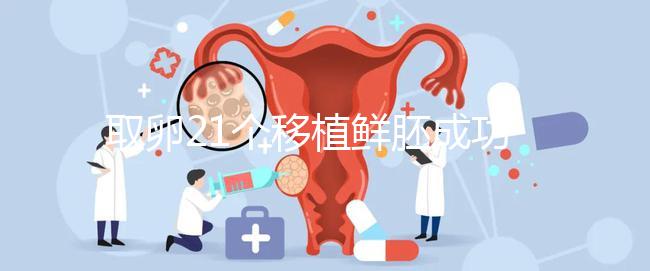 取卵21個移植鮮胚成功率真不低，前提：等卵巢恢復(fù)后再手術(shù)