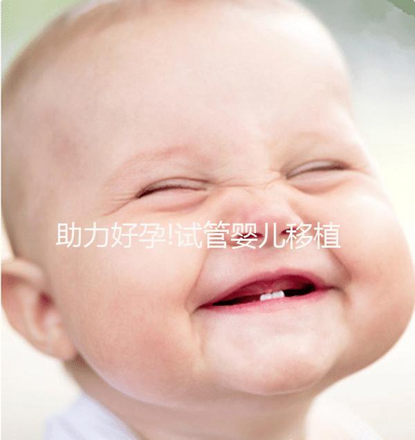 助力好孕!試管嬰兒移植囊胚4個成功小經驗分享