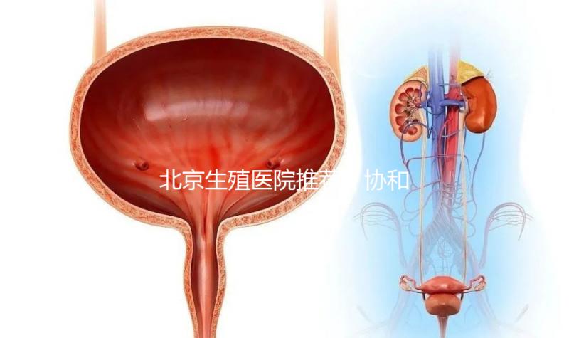 北京生殖醫院推薦！協和、北醫三院等三甲醫院介紹