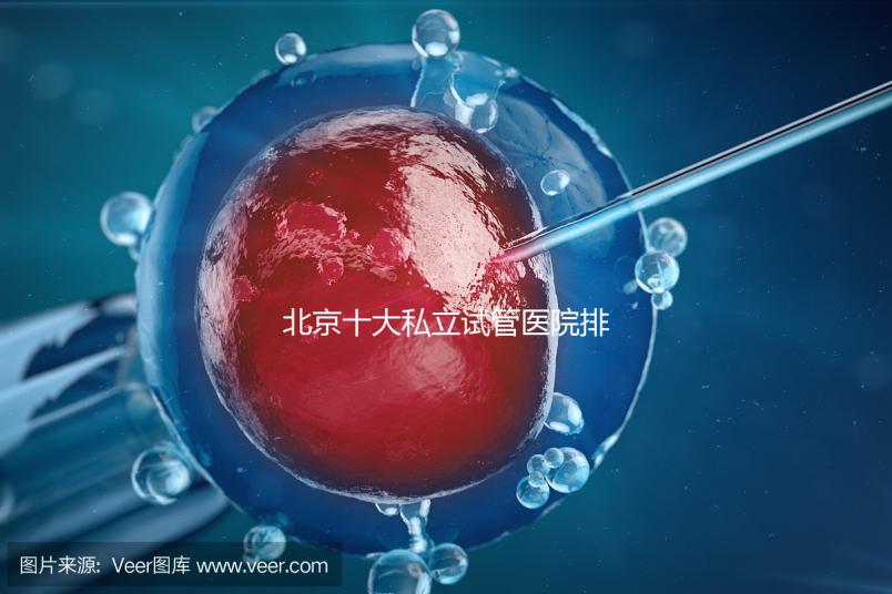 北京十大私立試管醫(yī)院排名：費用、成功率全面解析