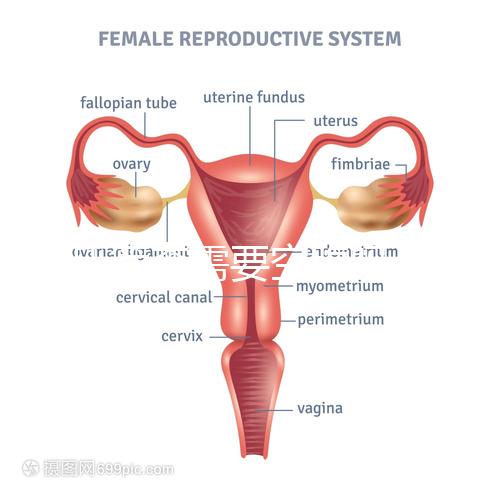 唐氏篩查需要空腹嗎，無錫醫院單項費用最低一百八十五