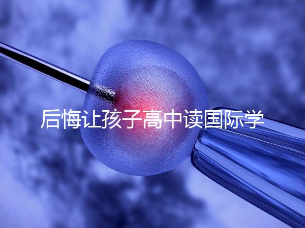 后悔讓孩子高中讀國際學校4大理由，行動前學籍咋辦要弄清