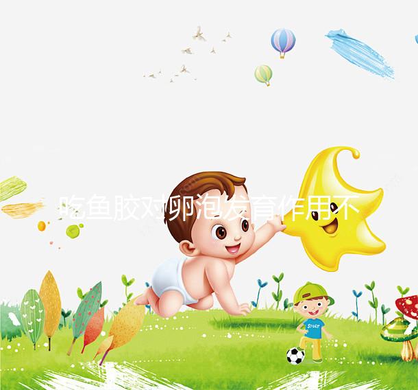 吃魚膠對卵泡發育作用不少，常食用還真能讓卵巢變好