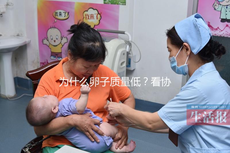 為什么卵子質(zhì)量低？看協(xié)和試管中心何方方主任怎么說