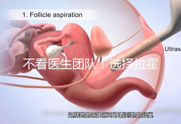 不看醫生團隊!選擇拉霍亞試管嬰兒中心的優勢還有這些