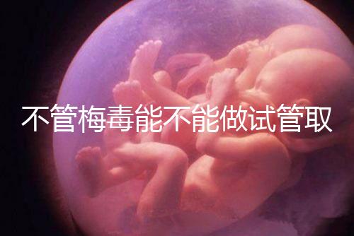 不管梅毒能不能做試管取卵，先弄清楚卵子能不能用