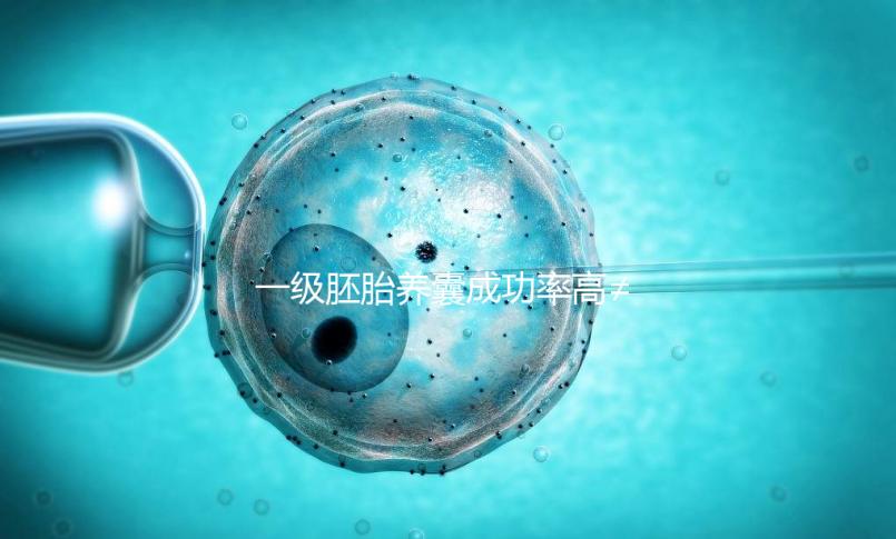 一級胚胎養(yǎng)囊成功率高≠零失敗，染色體異常是主要原因