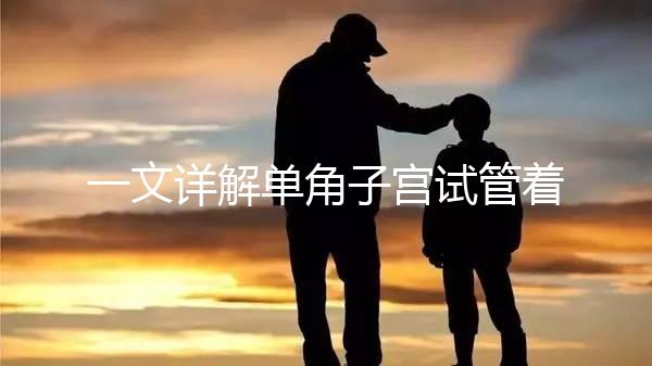 一文詳解單角子宮試管著床困不困難，失敗或和這幾點有關