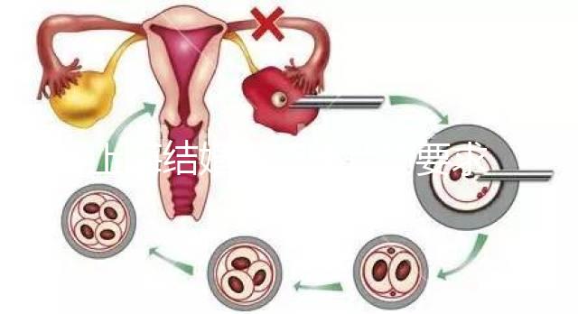 上海結(jié)婚登記照片的要求來了你能戴首飾讀懂嗎？