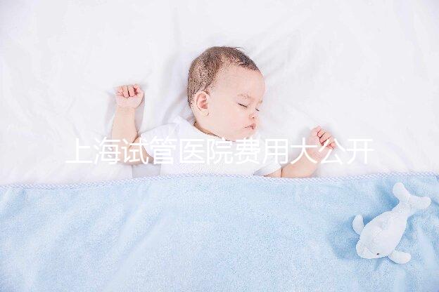 上海試管醫院費用大公開！過來人表示無法報銷真不便宜