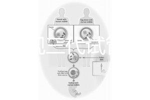 中國正規三代試管嬰兒機構名單，2025生殖機構排名參考