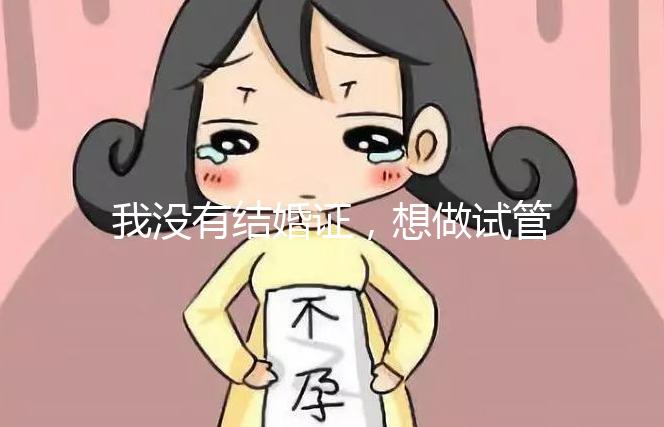 我沒(méi)有結(jié)婚證，想做試管嬰兒，可以做嗎？
