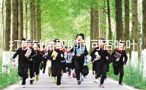 打夜針后取卵前可否吃葉酸看這，能提高卵子質(zhì)量可別不信