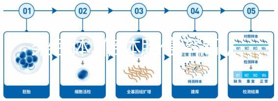 染色體3倍體胎停率高，治療首選三代試管
