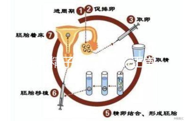 正常精子形態(tài)＞4％正常，流產(chǎn)與精子質(zhì)量不好也有關(guān)