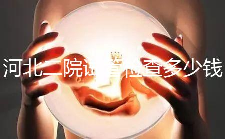 河北二院試管檢查多少錢公布,項目不同價格自然有所差異