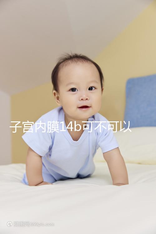 子宮內膜14b可不可以移植囊胚看情況，能否成功只看三點