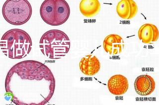 宜昌做試管嬰兒成功率和費(fèi)用多少？先看哪些醫(yī)院能做吧！