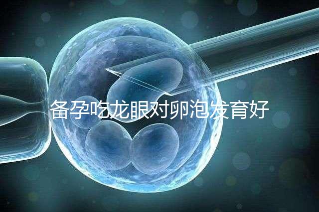 備孕吃龍眼對卵泡發育好處多，前提：發芽禁止食用