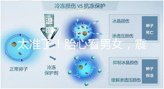 太準(zhǔn)了！胎心看男女，震驚結(jié)果大于150就一定是女孩