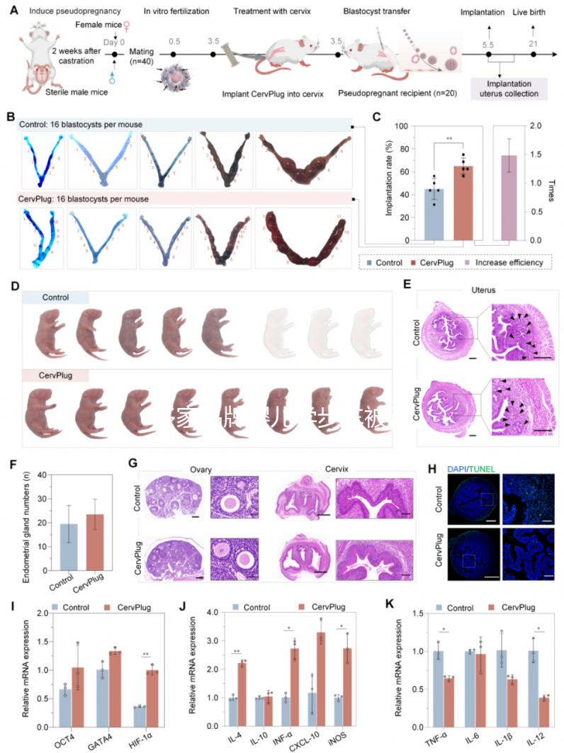多家品牌嬰兒學步車被召回，過早使用危害真不小