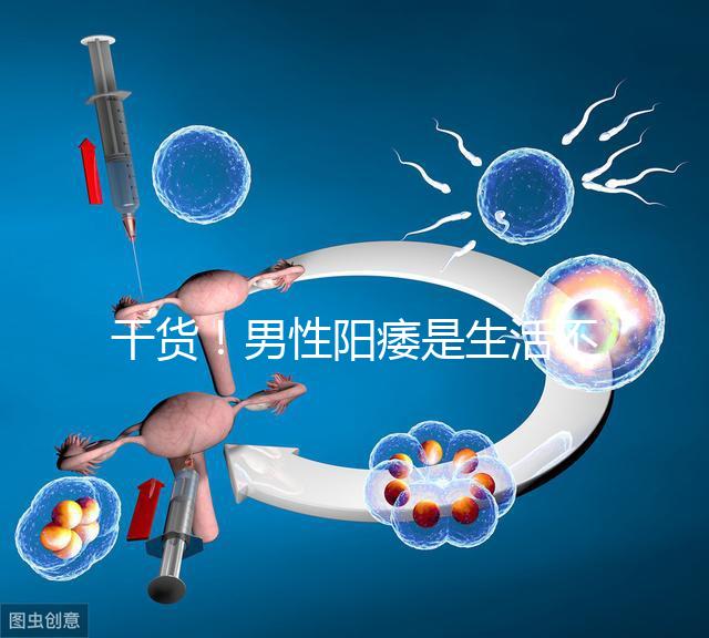 干貨！男性陽痿是生活不規律引起催乳激素偏高導致