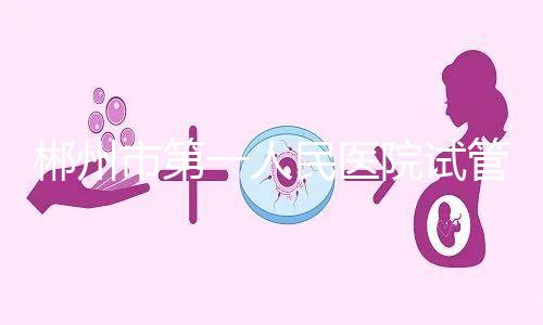 郴州市第一人民醫院試管怎么樣，從助孕成功率可窺探一二