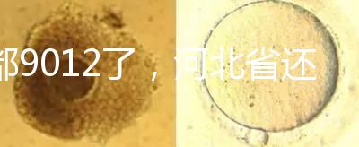 都9012了，河北省還沒三代試管嬰兒醫(yī)院，看看姐妹怎么說