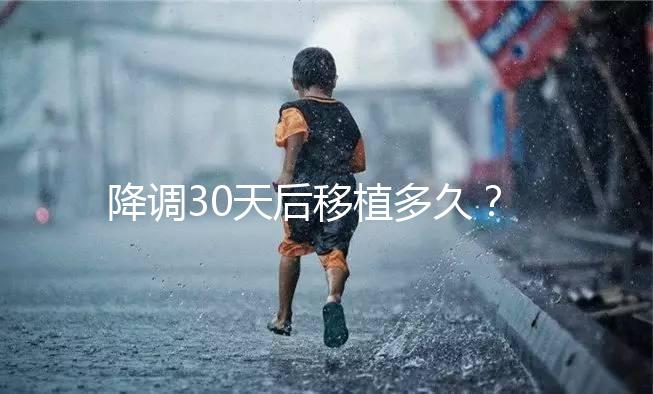 降調30天后移植多久？什么時候可以同房喝酒？