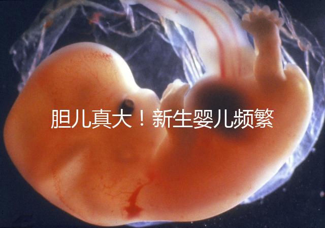 膽兒真大！新生嬰兒頻繁打嗝不要游泳以免嗆水