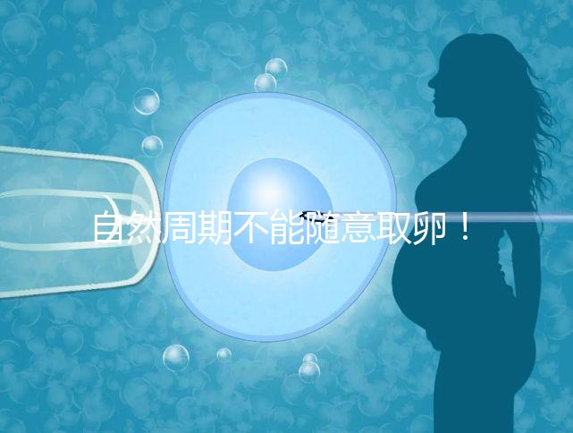 自然周期不能隨意取卵!滿足3點要求才能順利進行