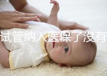 試管納入醫(yī)保了沒(méi)有