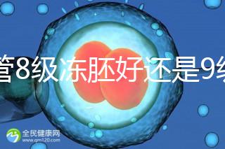 試管8級(jí)凍胚好還是9級(jí)好進(jìn)來瞧，看完二者區(qū)別全明白