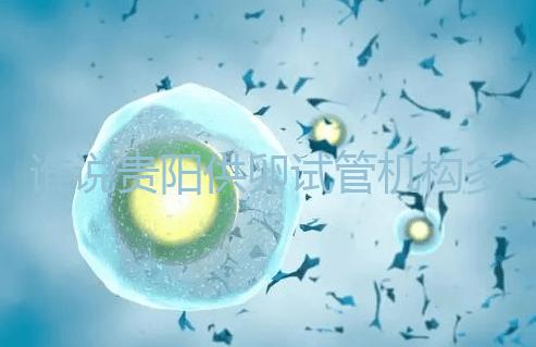 誰(shuí)說(shuō)貴陽(yáng)供卵試管機(jī)構(gòu)多給錢就不用排隊(duì)，醫(yī)生：不亂收費(fèi)