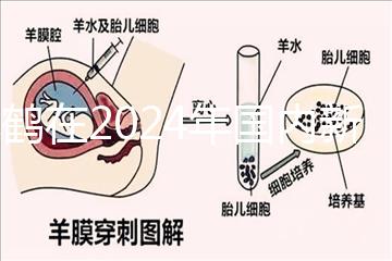 飛鶴在2024年國(guó)內(nèi)新生兒奶粉排行榜上排名第一