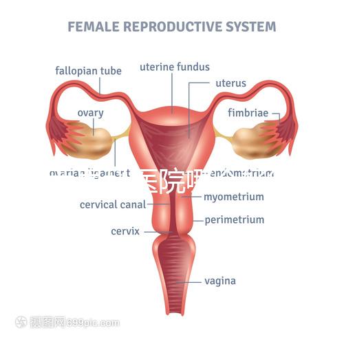 雞西男科醫(yī)院哪個好答案在這里？公立和私立各有優(yōu)勢