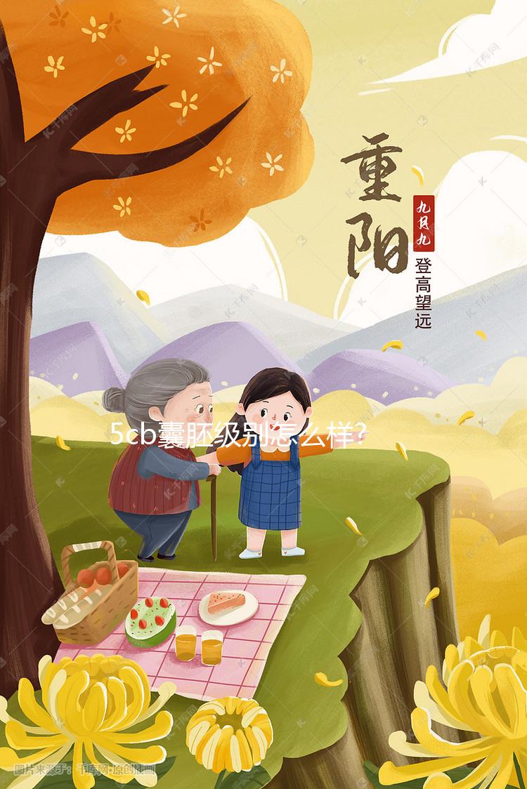 5cb囊胚級別怎么樣?質(zhì)量稍差,但"好孕"案例并不少