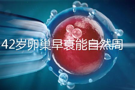42歲卵巢早衰能自然周期取卵做試管嬰兒？