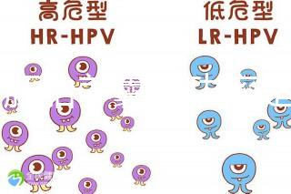 6個胚胎養囊成功率是多大答案在這，能配成3個機會就大