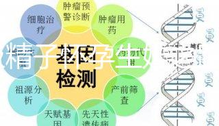 C級精子懷孕生娃之路不好走，試管或是唯一的選擇