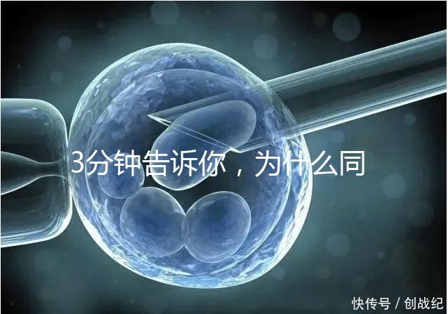 3分鐘告訴你，為什么同卵雙胞胎不會是龍鳳胎